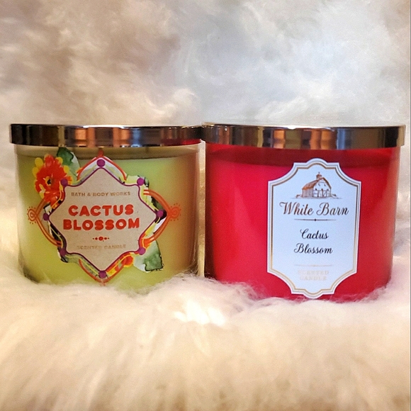 Cactus Blossom 3-Wick Candles - Picture 1 of 3